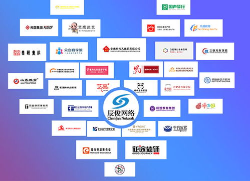 合肥辰俊信息科技 軟件開發與網絡推廣的專業解決方案